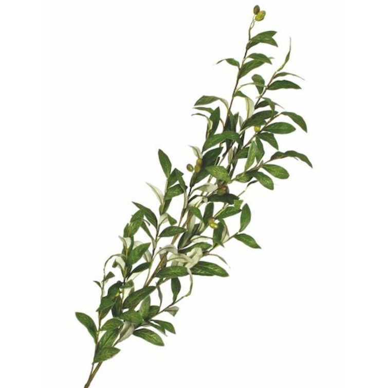 Primrue 60'' Faux Olive Tree Branch Wayfair